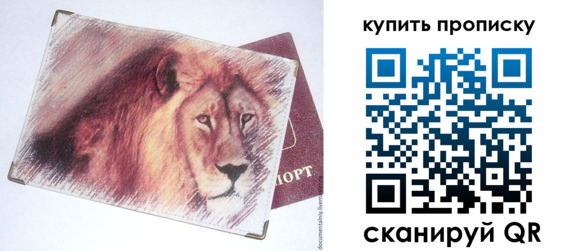 прописка паспорт в Челябинской области